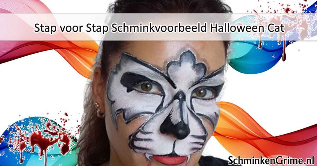 Stap voor Stap Schminkvoorbeeld Halloween Cat