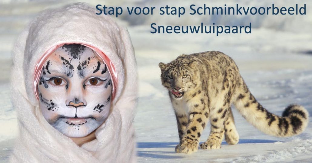 Stap voor stap schminkvoorbeeld Sneeuwluipaard