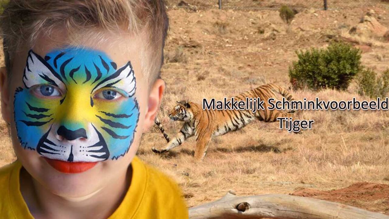 Makkelijk Schminkvoorbeeld Tijger Schminkengrime Nl