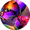 user_profile