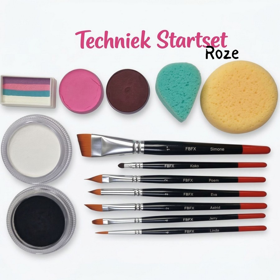 Techniek Schmink Startset (Roze)