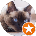 user_profile