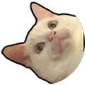 user_profile