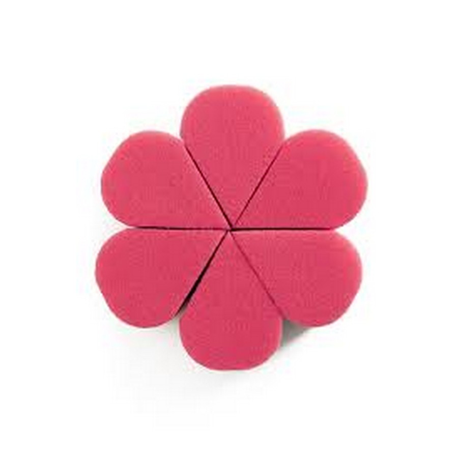 Petal Sponsjes (6 stuks)
