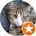 user_profile