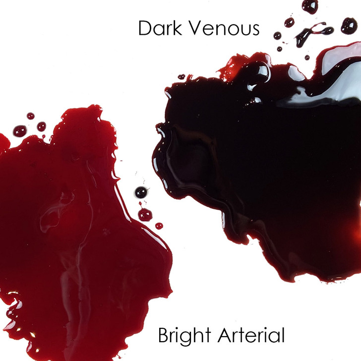 Mehron Stage Blood Dark Venous (472ml bloed)