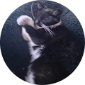 user_profile