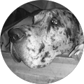user_profile