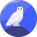 user_profile