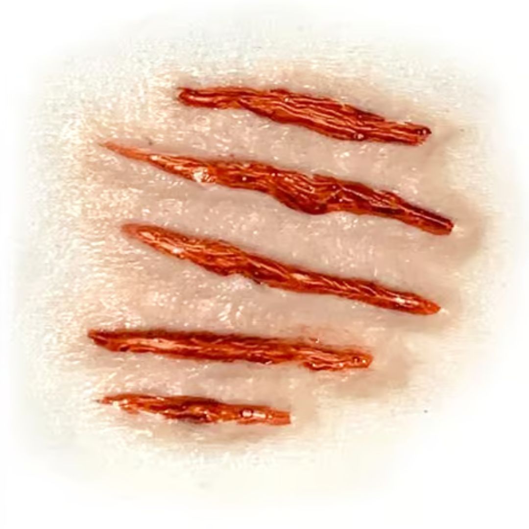 Close-up van Tinsley Transfers Attacked 3D FX Transfer, latexvrije special effects prothese voor realistische wonden, verkrijgbaar bij SchminkenGrime.nl