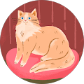 user_profile