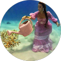 user_profile