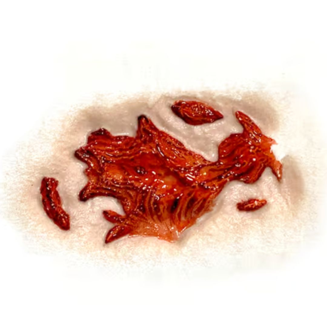 Close-up van de losse Gash 3D FX Transfer van Tinsley, inclusief grote vleeswond en kleine extra stukjes, klaar voor gebruik, verkrijgbaar bij SchminkenGrime.nl