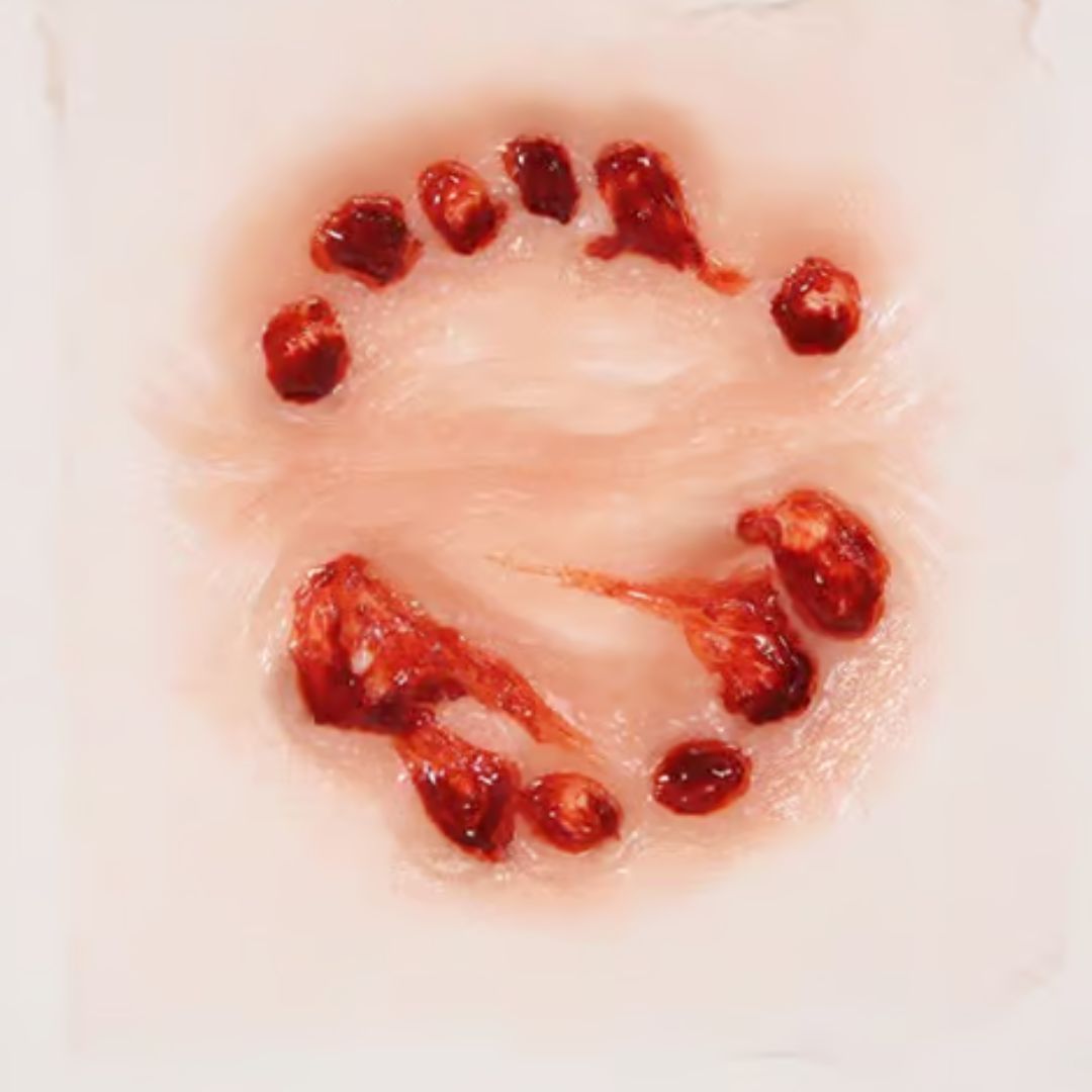 Close-up van de Tinsley Transfers Big Bite 3D FX Transfer prothese, met duidelijke tandafdrukken en beetwond structuur