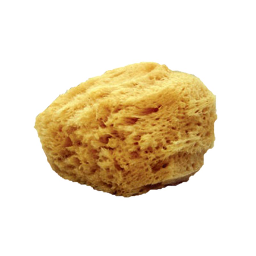 Mehron Natural Sea Sponge kopen bij SchminkenGrime.nl â€“ Natuurspons voor schmink, SFX en textuurtechnieken