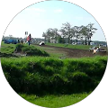 user_profile