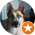 user_profile